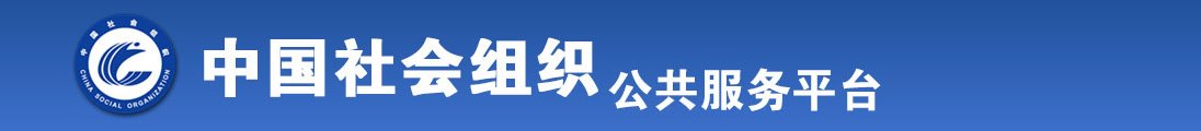 噗嗤噗嗤骚逼骚洞视频全国社会组织信息查询